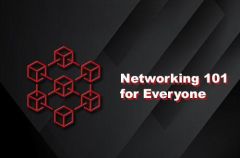 Networking 101 for Everyone
